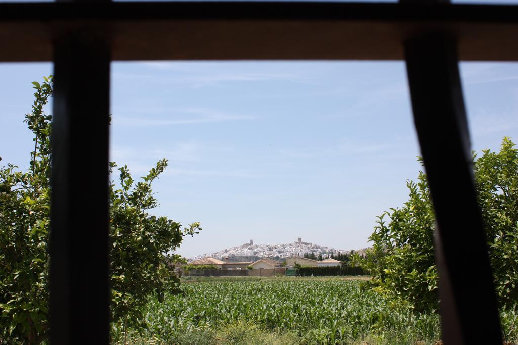 Hostal Rural La Plata Parking Incluido Arcos de la Frontera Buitenkant foto